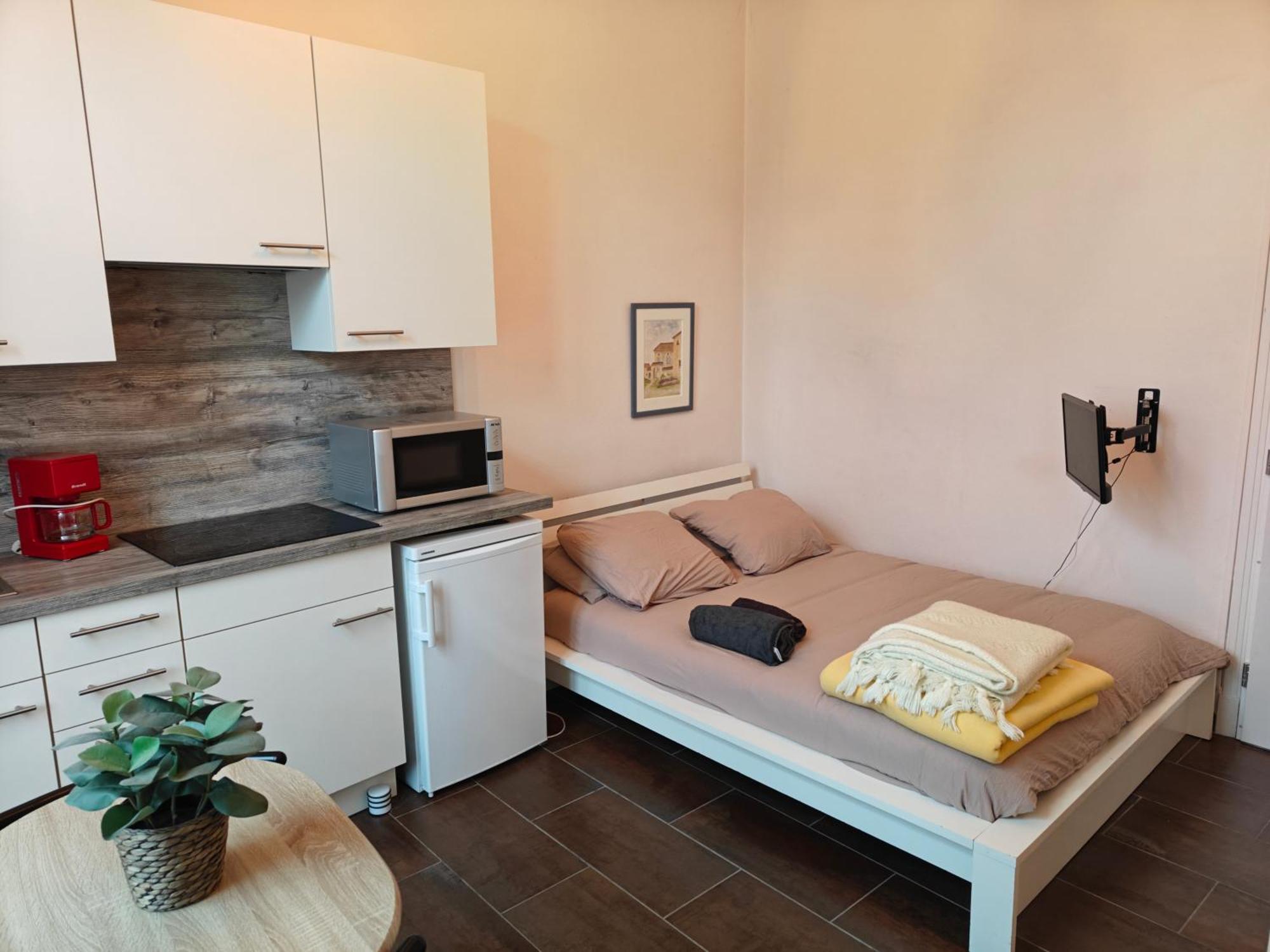 Studio Grand Hotel Chatel Guyon Dış mekan fotoğraf
